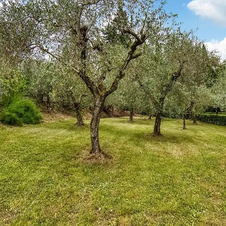 Il Loggiato Holiday home Monte San Savino